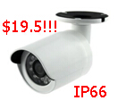 ip cameras